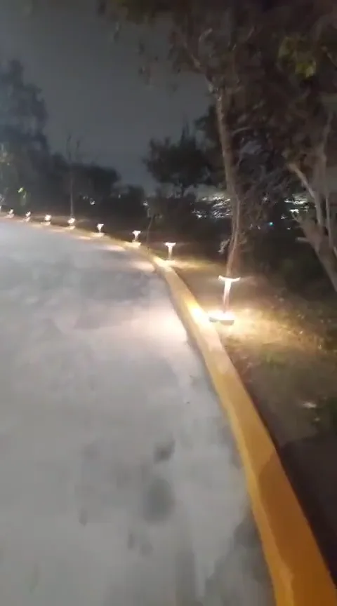 Andador peatonal